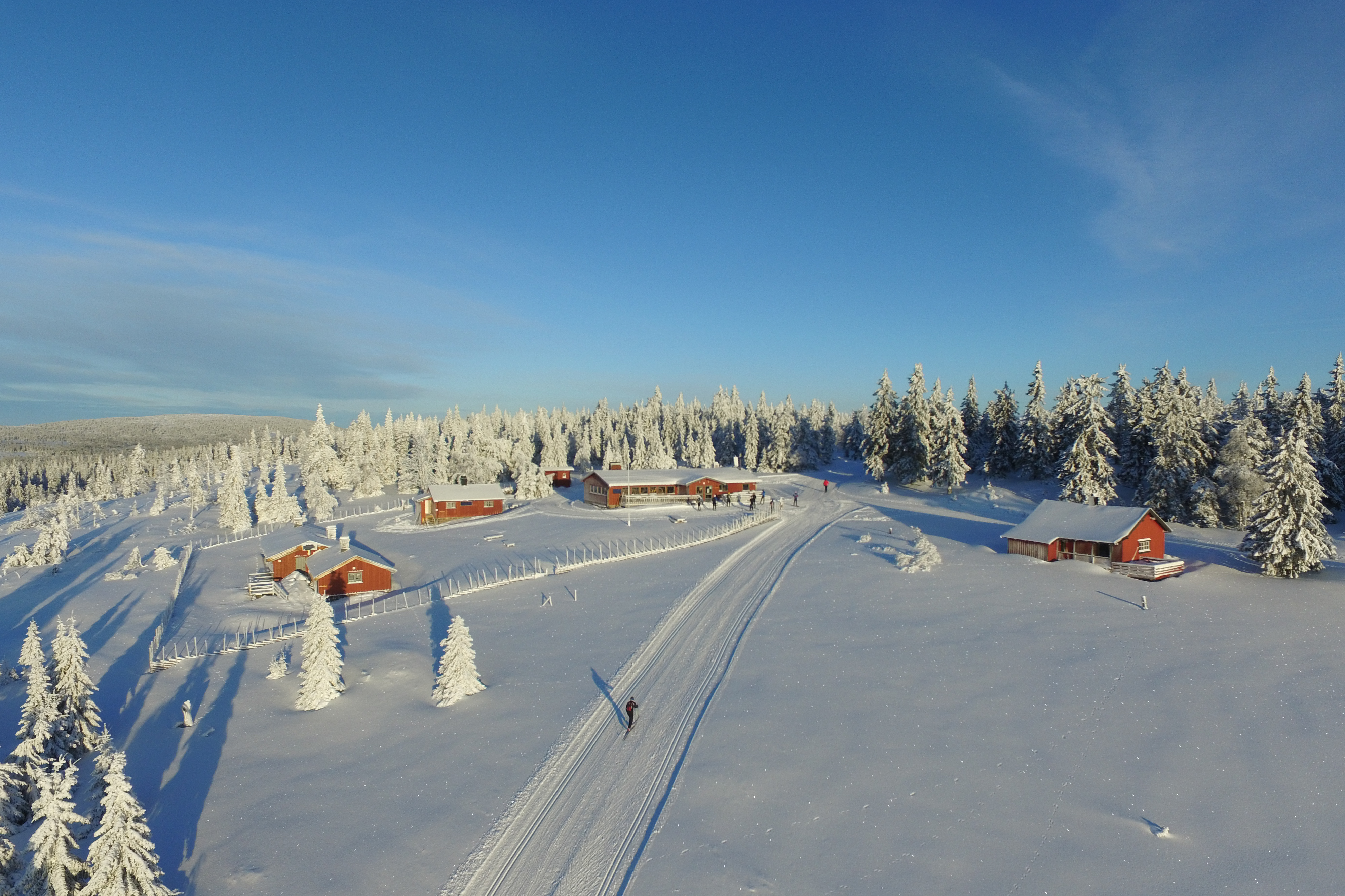 Målia fra drone